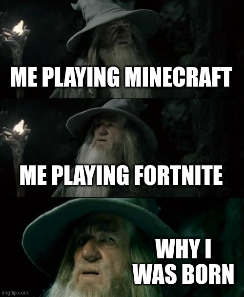 Confused Gandalf | ME PLAYING MINECRAFT; ME PLAYING FORTNITE; WHY I WAS BORN | image tagged in memes,confused gandalf | made w/ Imgflip meme maker