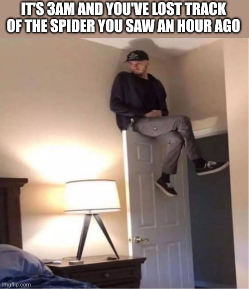 IT'S 3AM AND YOU'VE LOST TRACK OF THE SPIDER YOU SAW AN HOUR AGO | image tagged in funny memes | made w/ Imgflip meme maker