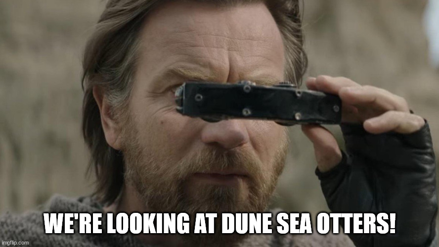 obi wan binoculars | WE'RE LOOKING AT DUNE SEA OTTERS! | image tagged in obi wan binoculars,obi wan kenobi,obi-wan kenobi,star wars,disney | made w/ Imgflip meme maker