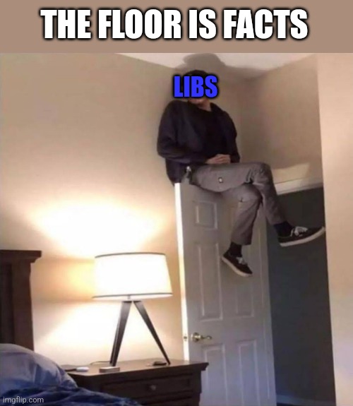 On the door | THE FLOOR IS FACTS; LIBS | image tagged in on the door | made w/ Imgflip meme maker