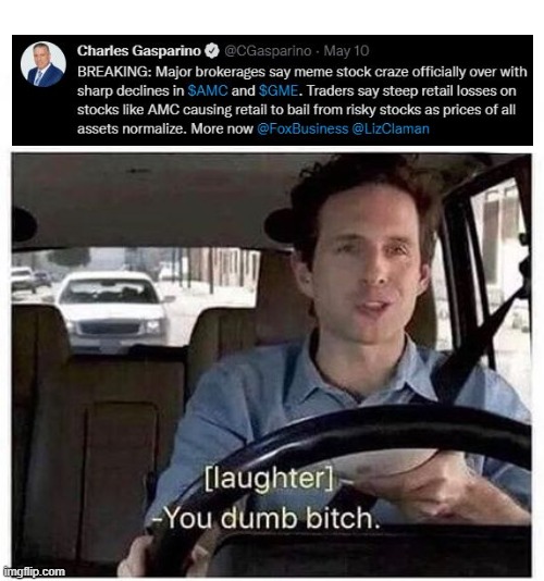 You dumb bitch | image tagged in you dumb bitch,Superstonk | made w/ Imgflip meme maker