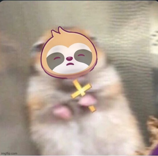 shook christian hamster | image tagged in shook christian hamster | made w/ Imgflip meme maker