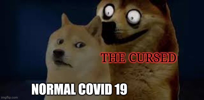calm doge,scary doge | NORMAL COVID 19 THE CURSED | image tagged in calm doge scary doge | made w/ Imgflip meme maker