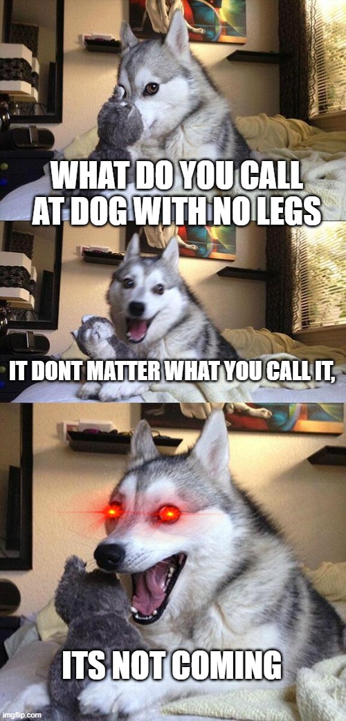 what the dog doin | WHAT DO YOU CALL AT DOG WITH NO LEGS; IT DONT MATTER WHAT YOU CALL IT, ITS NOT COMING | image tagged in memes,bad pun dog | made w/ Imgflip meme maker
