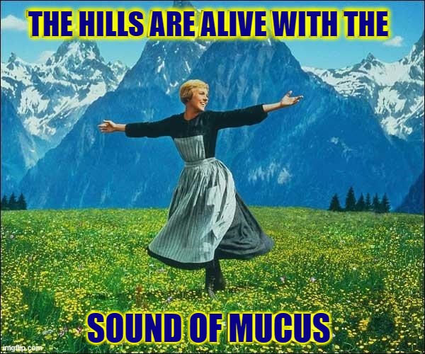 Ah.... Springtime | THE HILLS ARE ALIVE WITH THE; SOUND OF MUCUS | image tagged in vince vance,sound of music,memes,spring,allergies,mucus | made w/ Imgflip meme maker