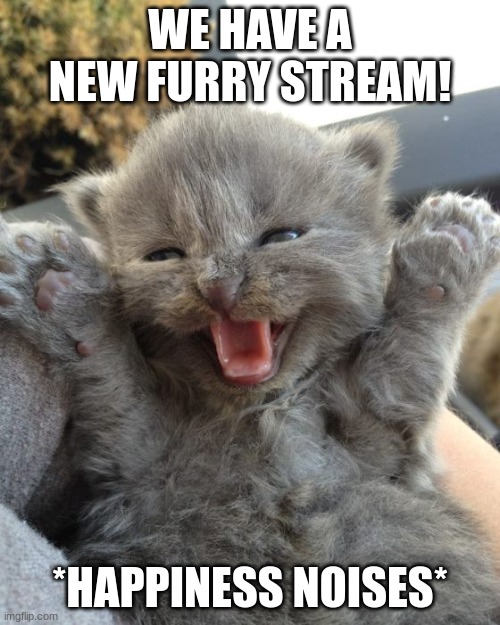 *Happiness noises* | WE HAVE A NEW FURRY STREAM! *HAPPINESS NOISES* | image tagged in yay kitty | made w/ Imgflip meme maker