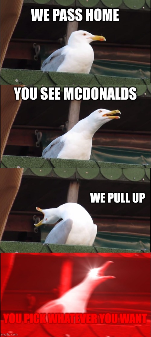 McDonalds | WE PASS HOME; YOU SEE MCDONALDS; WE PULL UP; YOU PICK WHATEVER YOU WANT | image tagged in memes,inhaling seagull,mcdonalds | made w/ Imgflip meme maker
