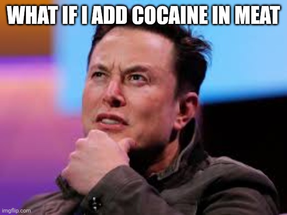 Elon musk | WHAT IF I ADD COCAINE IN MEAT | image tagged in elon musk,slim jilm,meat,cocaine | made w/ Imgflip meme maker