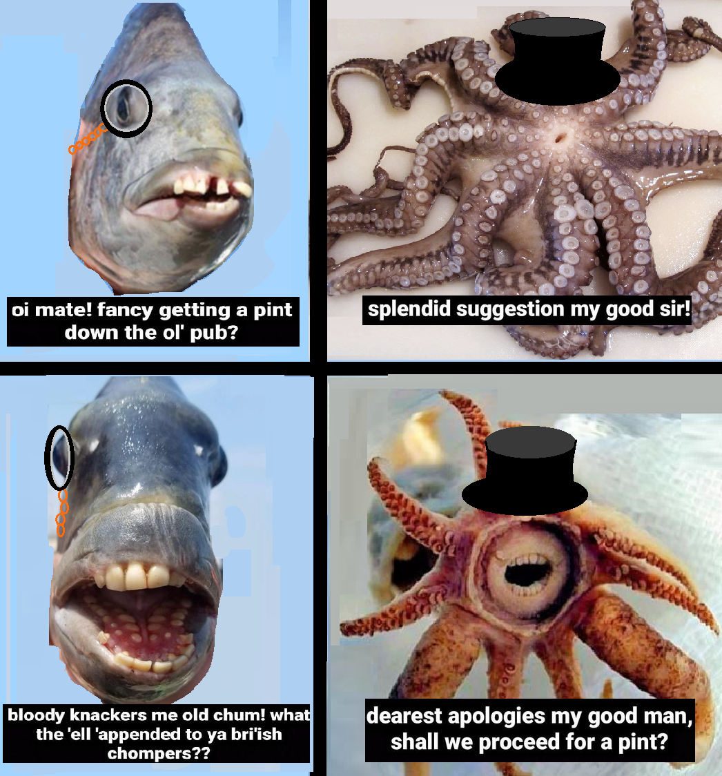 british fish convo Blank Meme Template