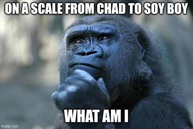 Deep Thoughts | ON A SCALE FROM CHAD TO SOY BOY; WHAT AM I | image tagged in deep thoughts | made w/ Imgflip meme maker