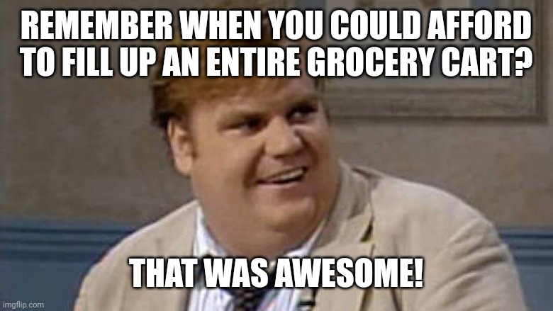 These were the days. | REMEMBER WHEN YOU COULD AFFORD TO FILL UP AN ENTIRE GROCERY CART? THAT WAS AWESOME! | image tagged in you remember that time | made w/ Imgflip meme maker