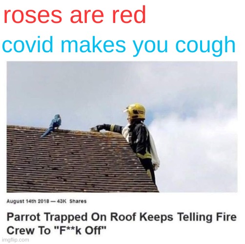 how is the parrot tRaPpEd |  roses are red; covid makes you cough | image tagged in funny,memes,funny memes,roses are red,barney will eat all of your delectable biscuits,birds | made w/ Imgflip meme maker