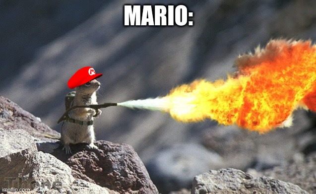 Flame War Squirrel | MARIO: | image tagged in flame war squirrel | made w/ Imgflip meme maker