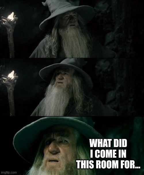 Confused Gandalf Meme | WHAT DID I COME IN THIS ROOM FOR... | image tagged in memes,confused gandalf | made w/ Imgflip meme maker