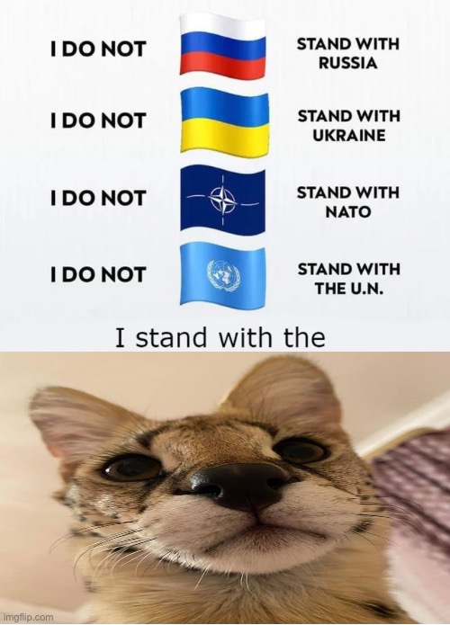I Stand With The X | image tagged in i stand with the x,memes | made w/ Imgflip meme maker