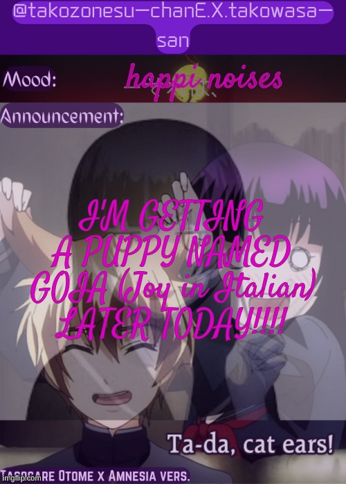 tc announcement temp tasogare otome x amnesia | happi noises; I'M GETTING A PUPPY NAMED GOIA (Joy in Italian) LATER TODAY!!!! | image tagged in tc announcement temp tasogare otome x amnesia | made w/ Imgflip meme maker