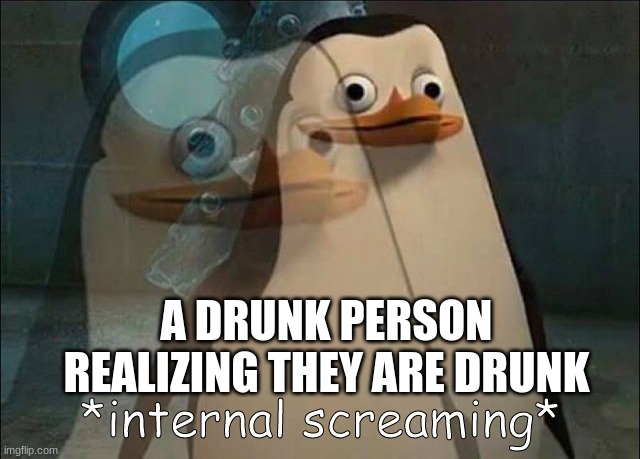 Private Internal Screaming | A DRUNK PERSON REALIZING THEY ARE DRUNK | image tagged in private internal screaming | made w/ Imgflip meme maker