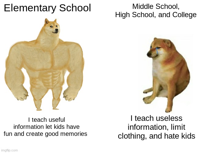 Buff Doge vs. Cheems Meme | Elementary School; Middle School, High School, and College; I teach useful information let kids have fun and create good memories; I teach useless information, limit clothing, and hate kids | image tagged in memes,buff doge vs cheems | made w/ Imgflip meme maker