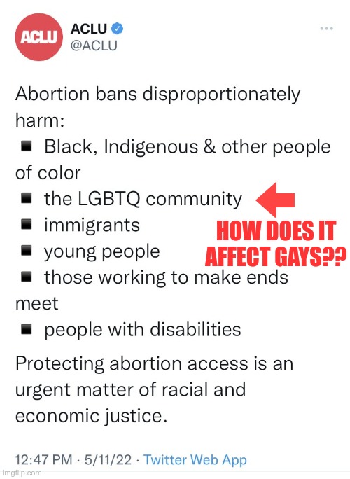 ACLU - proving their political bias one tweet at a time | HOW DOES IT AFFECT GAYS?? | image tagged in aclu,woke,stupid liberals | made w/ Imgflip meme maker