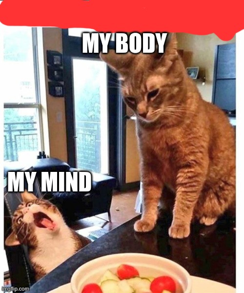 image title | MY BODY; MY MIND | image tagged in goofy ah | made w/ Imgflip meme maker