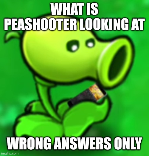Peashooter looking at his phone | WHAT IS PEASHOOTER LOOKING AT; WRONG ANSWERS ONLY | image tagged in peashooter looking at his phone | made w/ Imgflip meme maker