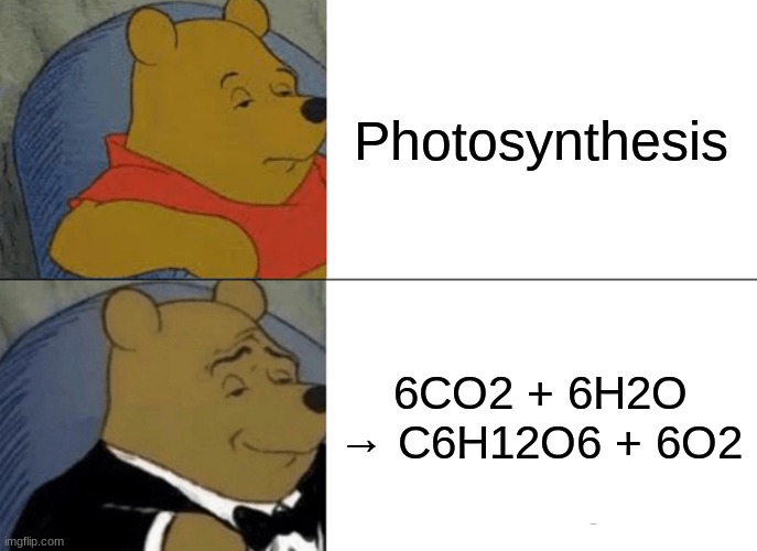 Photosynthesis | Photosynthesis; 6CO2 + 6H2O → C6H12O6 + 6O2 | image tagged in memes,tuxedo winnie the pooh | made w/ Imgflip meme maker