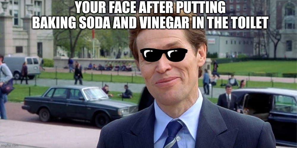 Soience | YOUR FACE AFTER PUTTING BAKING SODA AND VINEGAR IN THE TOILET | image tagged in you know i'm something of a scientist myself | made w/ Imgflip meme maker