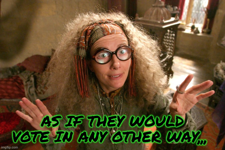 Kooky Professor Trelawney | AS IF THEY WOULD VOTE IN ANY OTHER WAY,,, | image tagged in kooky professor trelawney | made w/ Imgflip meme maker