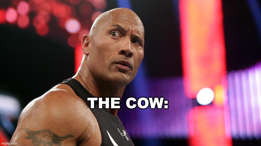 the rock eyebrow wtf face | THE COW: | image tagged in the rock eyebrow wtf face | made w/ Imgflip meme maker