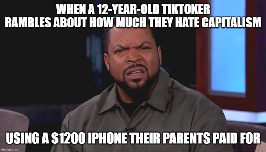 Really? | WHEN A 12-YEAR-OLD TIKTOKER RAMBLES ABOUT HOW MUCH THEY HATE CAPITALISM; USING A $1200 IPHONE THEIR PARENTS PAID FOR | image tagged in really ice cube | made w/ Imgflip meme maker