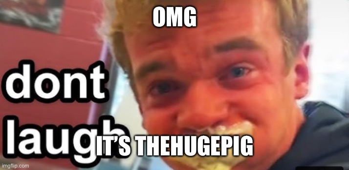 Hahaha | OMG; IT’S THEHUGEPIG | made w/ Imgflip meme maker