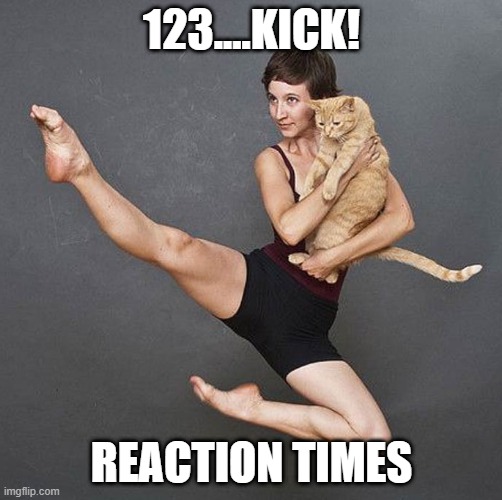Nervous system reflex | 123....KICK! REACTION TIMES | image tagged in nervous system reflex | made w/ Imgflip meme maker