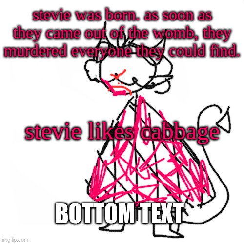 oh | stevie was born. as soon as they came out of the womb, they murdered everyone they could find. stevie likes cabbage; BOTTOM TEXT | image tagged in blank white but bigger | made w/ Imgflip meme maker