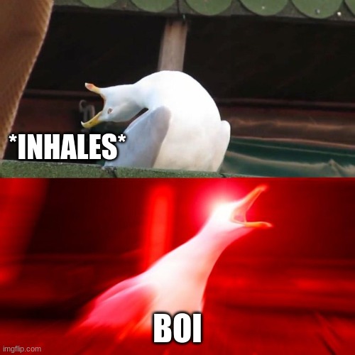 classic meme, still funny | *INHALES*; BOI | image tagged in boy seagull,boi,inhales,classic,still good | made w/ Imgflip meme maker