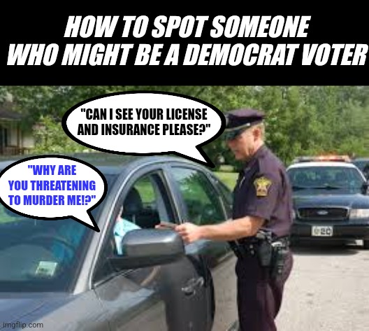 While Democrats seem to speak English, the words are different | HOW TO SPOT SOMEONE WHO MIGHT BE A DEMOCRAT VOTER; "CAN I SEE YOUR LICENSE AND INSURANCE PLEASE?"; "WHY ARE YOU THREATENING TO MURDER ME!?" | image tagged in traffic stop,democrats,actions speak louder than words,stupid liberals,expectation vs reality,listening | made w/ Imgflip meme maker