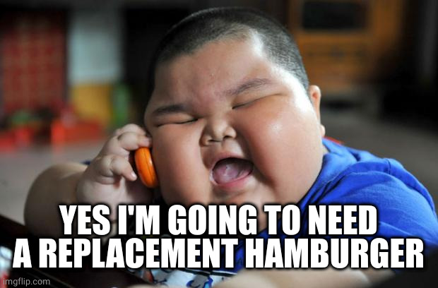 Fat Asian Kid | YES I'M GOING TO NEED A REPLACEMENT HAMBURGER | image tagged in fat asian kid | made w/ Imgflip meme maker