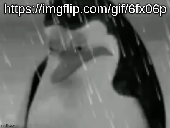 the sad | https://imgflip.com/gif/6fx06p | image tagged in the sad | made w/ Imgflip meme maker