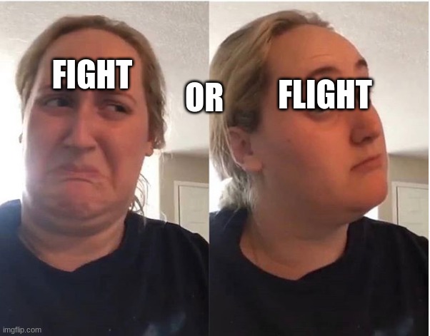 hmmm | FIGHT OR FLIGHT | image tagged in hmmm | made w/ Imgflip meme maker