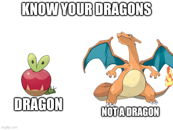 KNOW YOUR DRAGONS DRAGON NOT A DRAGON | made w/ Imgflip meme maker