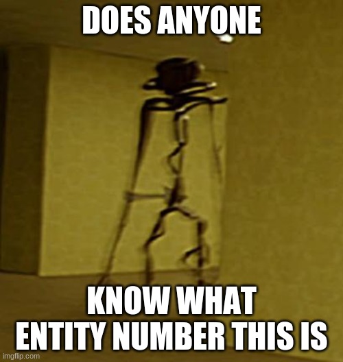 idk what entity of the backrooms this is | DOES ANYONE; KNOW WHAT ENTITY NUMBER THIS IS | image tagged in the backrooms | made w/ Imgflip meme maker