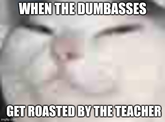 Meow | WHEN THE DUMBASSES; GET ROASTED BY THE TEACHER | image tagged in knife cat | made w/ Imgflip meme maker