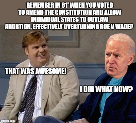 Dems are off the rails now days. | REMEMBER IN 81' WHEN YOU VOTED TO AMEND THE CONSTITUTION AND ALLOW INDIVIDUAL STATES TO OUTLAW ABORTION, EFFECTIVELY OVERTURNING ROE V WADE? THAT WAS AWESOME! I DID WHAT NOW? | image tagged in joe biden,pro life,abortion is murder,remember that time | made w/ Imgflip meme maker