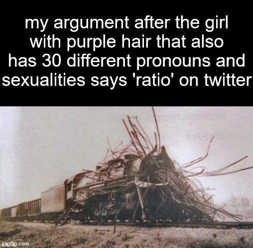 boom | my argument after the girl with purple hair that also has 30 different pronouns and sexualities says 'ratio' on twitter | image tagged in shitpost status | made w/ Imgflip meme maker