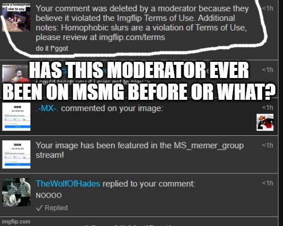 HAS THIS MODERATOR EVER BEEN ON MSMG BEFORE OR WHAT? | made w/ Imgflip meme maker