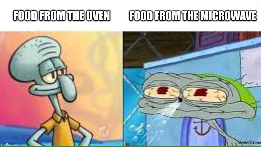 Food from microwave and oven | FOOD FROM THE OVEN; FOOD FROM THE MICROWAVE | image tagged in squidward,funny | made w/ Imgflip meme maker