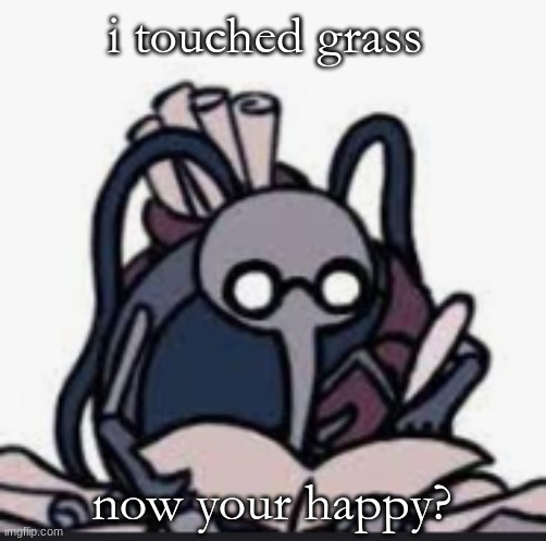 Cornfier`s Template | i touched grass; now your happy? | image tagged in cornfier s template | made w/ Imgflip meme maker