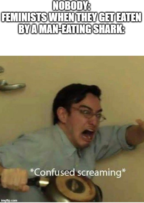 haha low effort meme go brrr | NOBODY:
FEMINISTS WHEN THEY GET EATEN BY A MAN-EATING SHARK: | image tagged in confused screaming | made w/ Imgflip meme maker