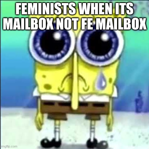 Sad Spongebob | FEMINISTS WHEN ITS MAILBOX NOT FE MAILBOX | image tagged in sad spongebob | made w/ Imgflip meme maker