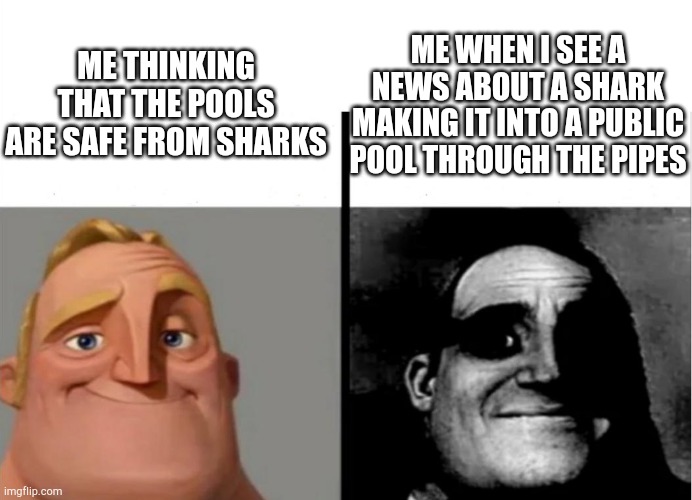Um this probobly lame | ME THINKING THAT THE POOLS ARE SAFE FROM SHARKS; ME WHEN I SEE A NEWS ABOUT A SHARK MAKING IT INTO A PUBLIC POOL THROUGH THE PIPES | image tagged in teacher's copy | made w/ Imgflip meme maker