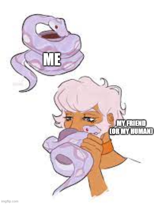 Us snakes in the Winter | ME; MY FRIEND
(OR MY HUMAN) | image tagged in memes,winter,snek,snake,warmth | made w/ Imgflip meme maker